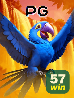 57WIN bônus — cashback 15 por cento e níveis VIP