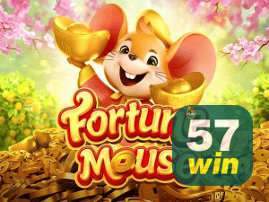 57WIN login — configurações de segurança e proteção de conta